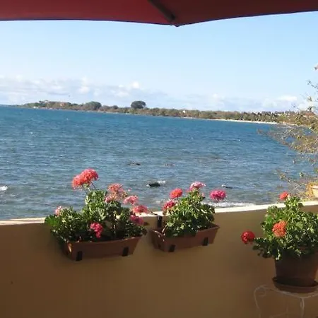 Le Cactus Guesthouse